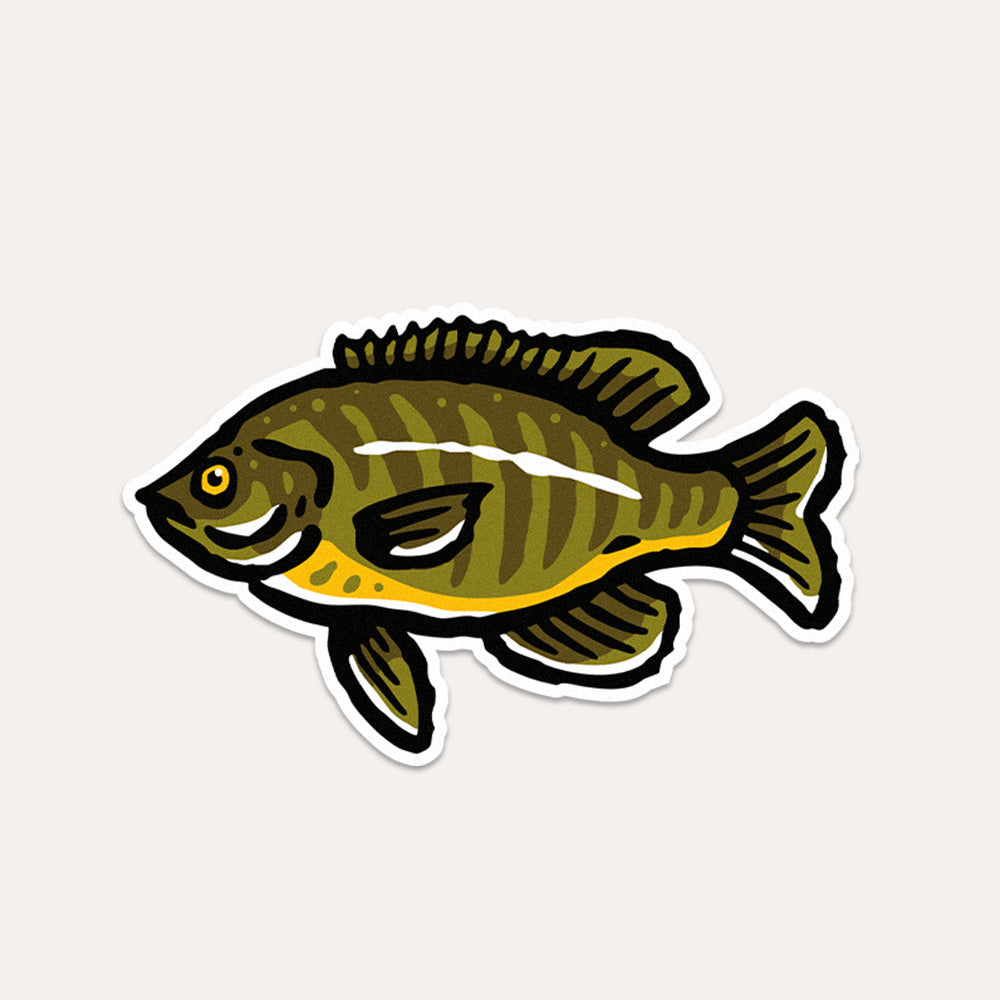 Bluegill Fish - Vinyl Sticker
