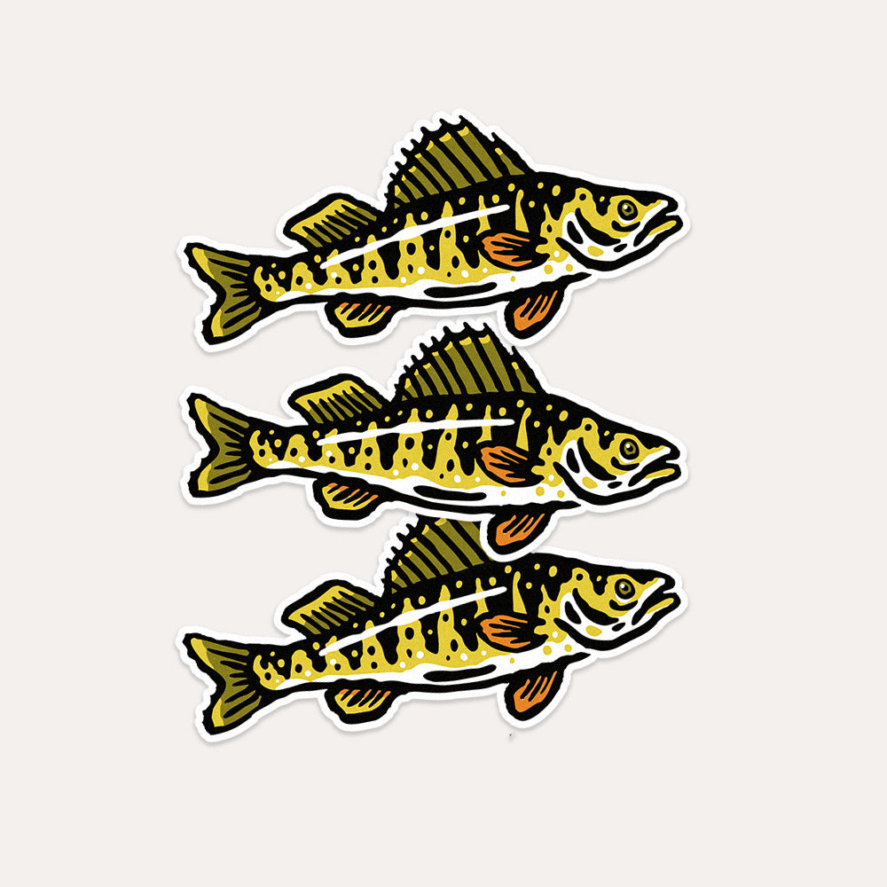 Yellow Perch - Vinyl Sticker