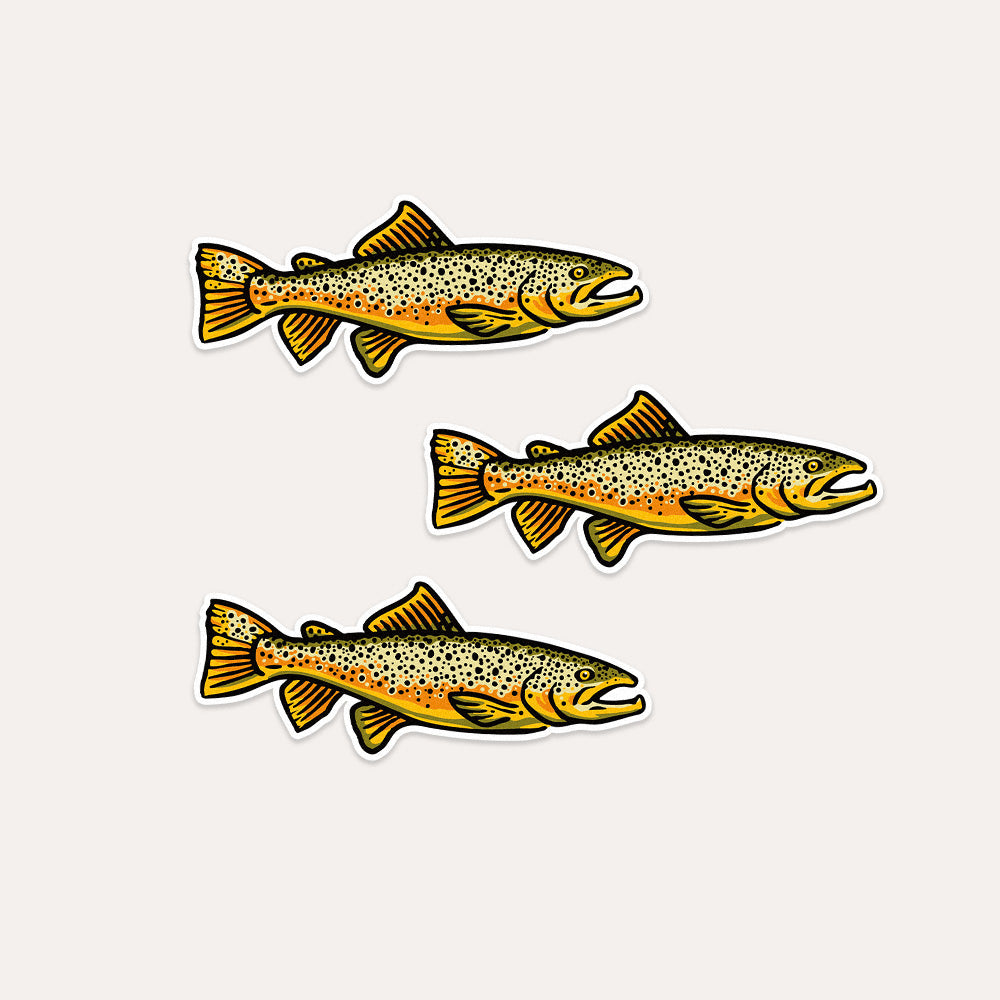 Brown Trout - Vinyl Sticker