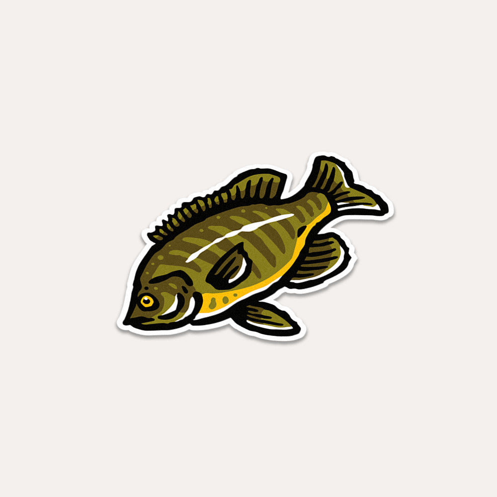 Bluegill Fish - Vinyl Sticker