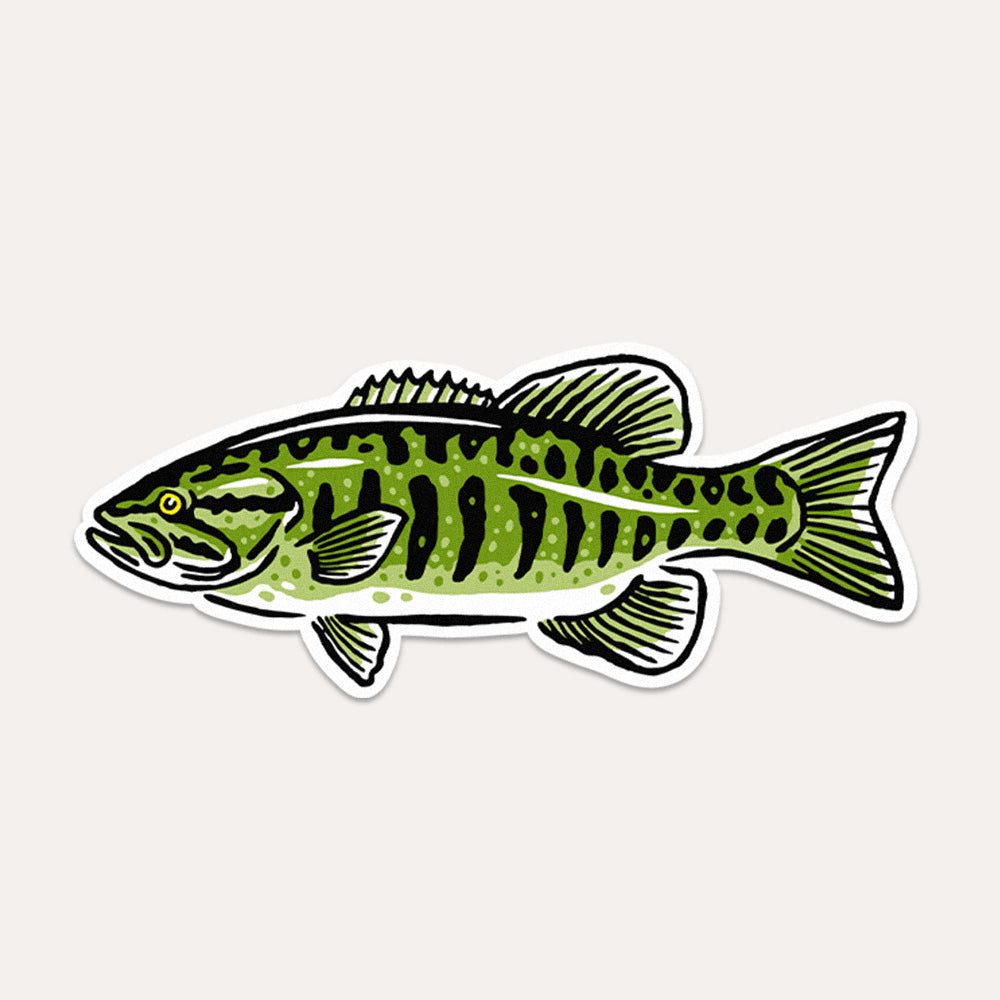 Smallmouth Bass Fish - Vinyl Sticker
