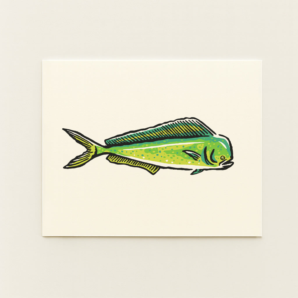 Mahi Mahi Fish -  Illustration Print