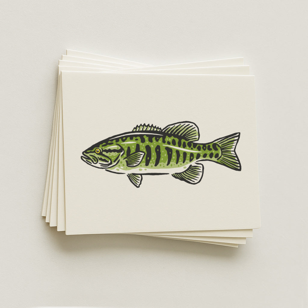 Smallmouth Bass -  Illustration Print