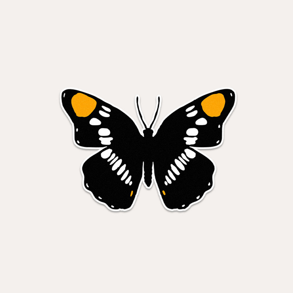 California Sister Butterfly - Vinyl Sticker