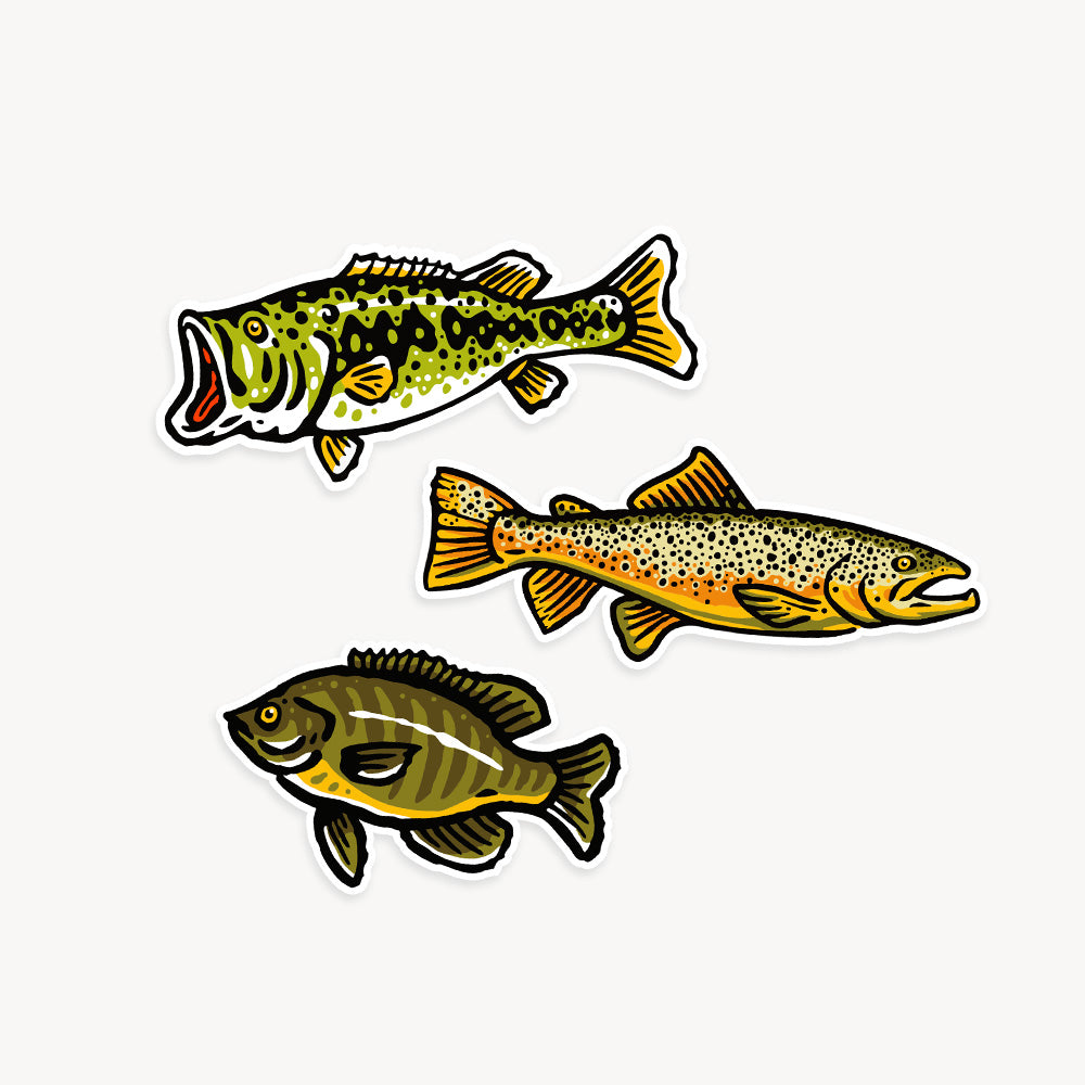 Freshwater Fish Vinyl Stickers - Three Pack