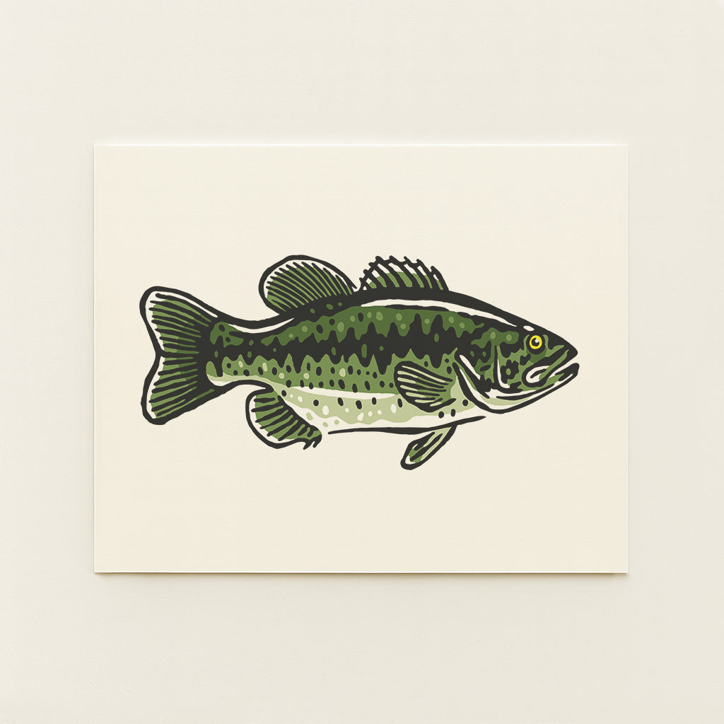 Largemouth Bass -  Illustration Print