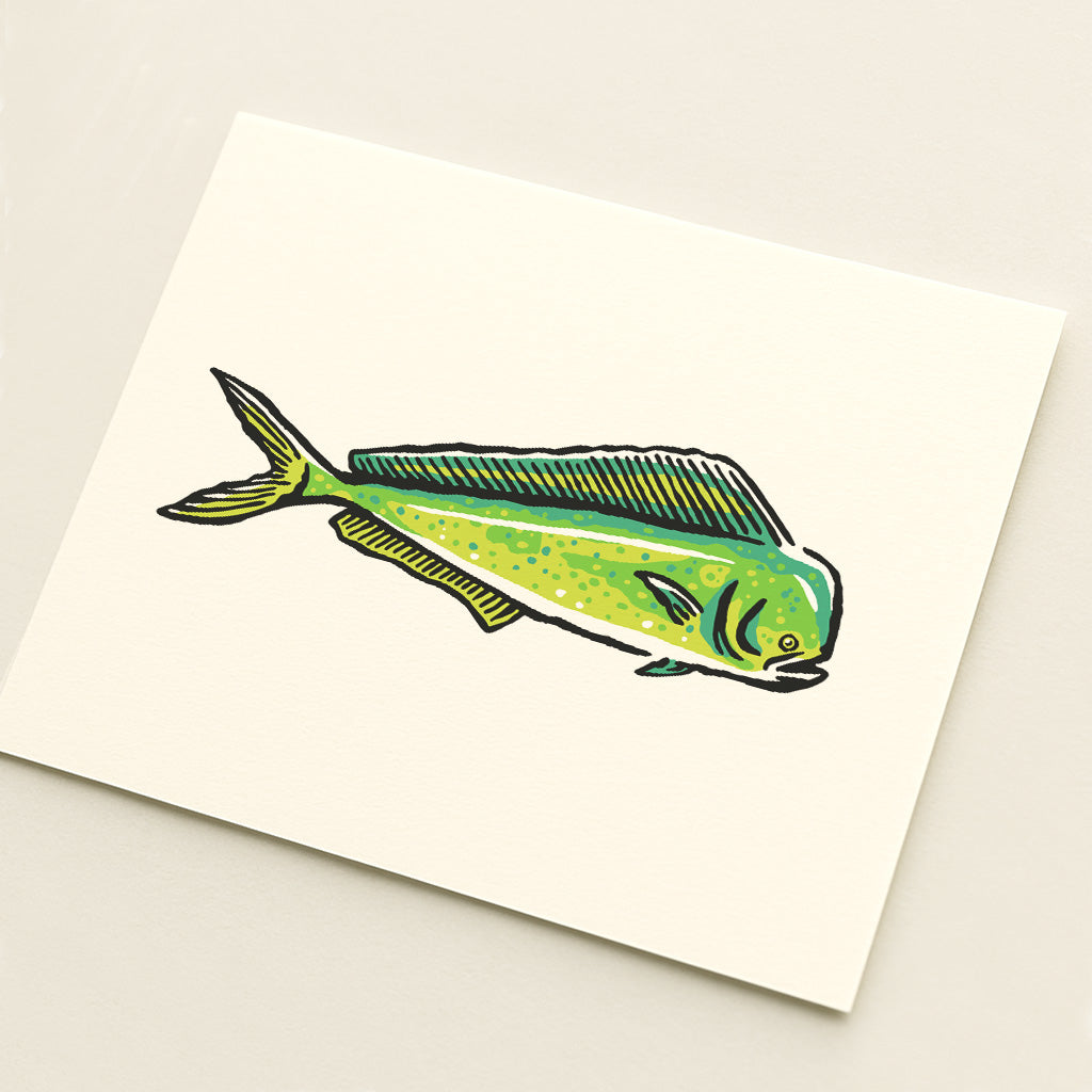 Mahi Mahi Fish -  Illustration Print