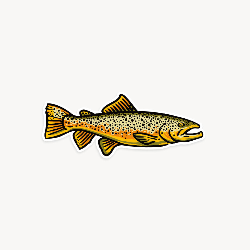 Freshwater Fish Vinyl Stickers - Three Pack
