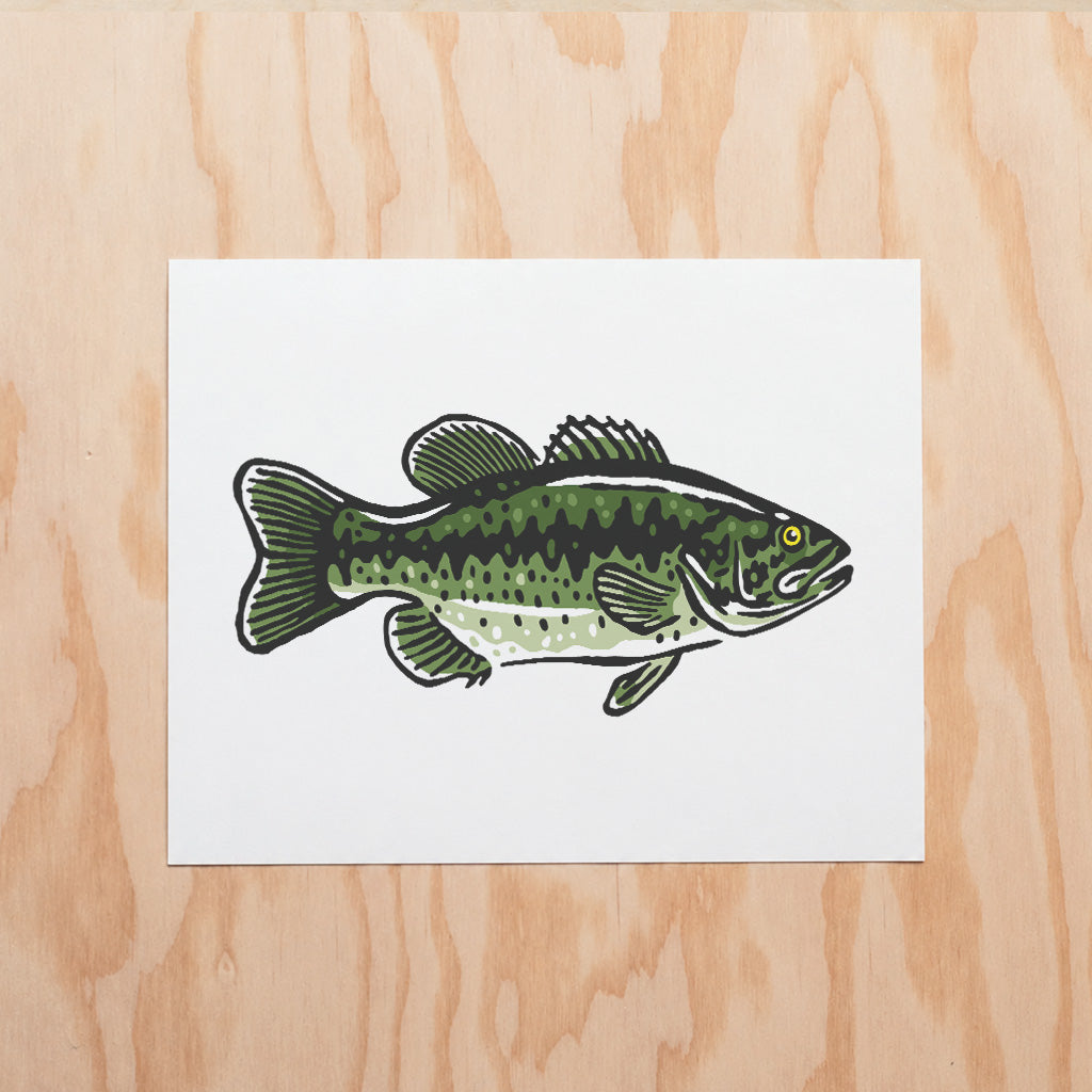 Largemouth Bass -  Illustration Print