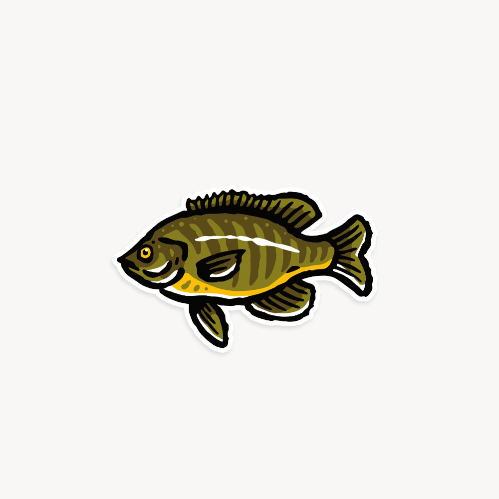 Freshwater Fish Vinyl Stickers - Three Pack