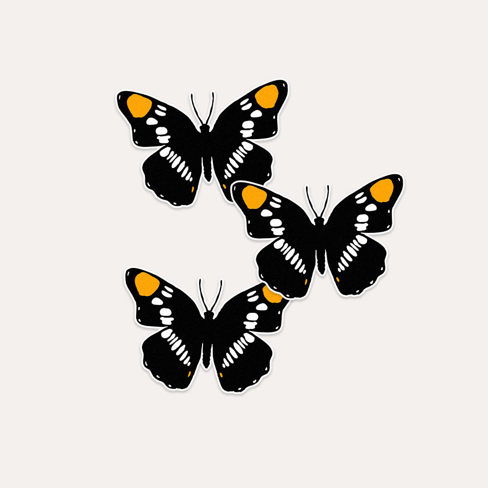 California Sister Butterfly - Vinyl Sticker