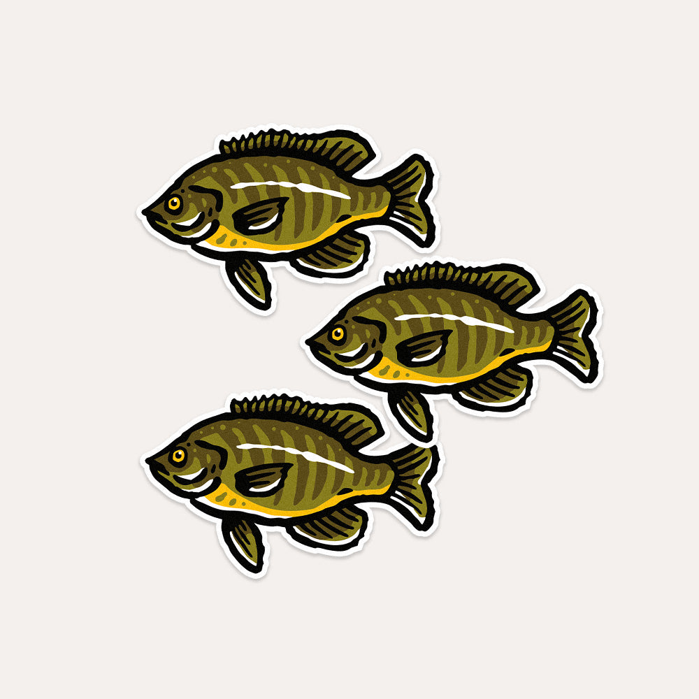 Bluegill Fish - Vinyl Sticker