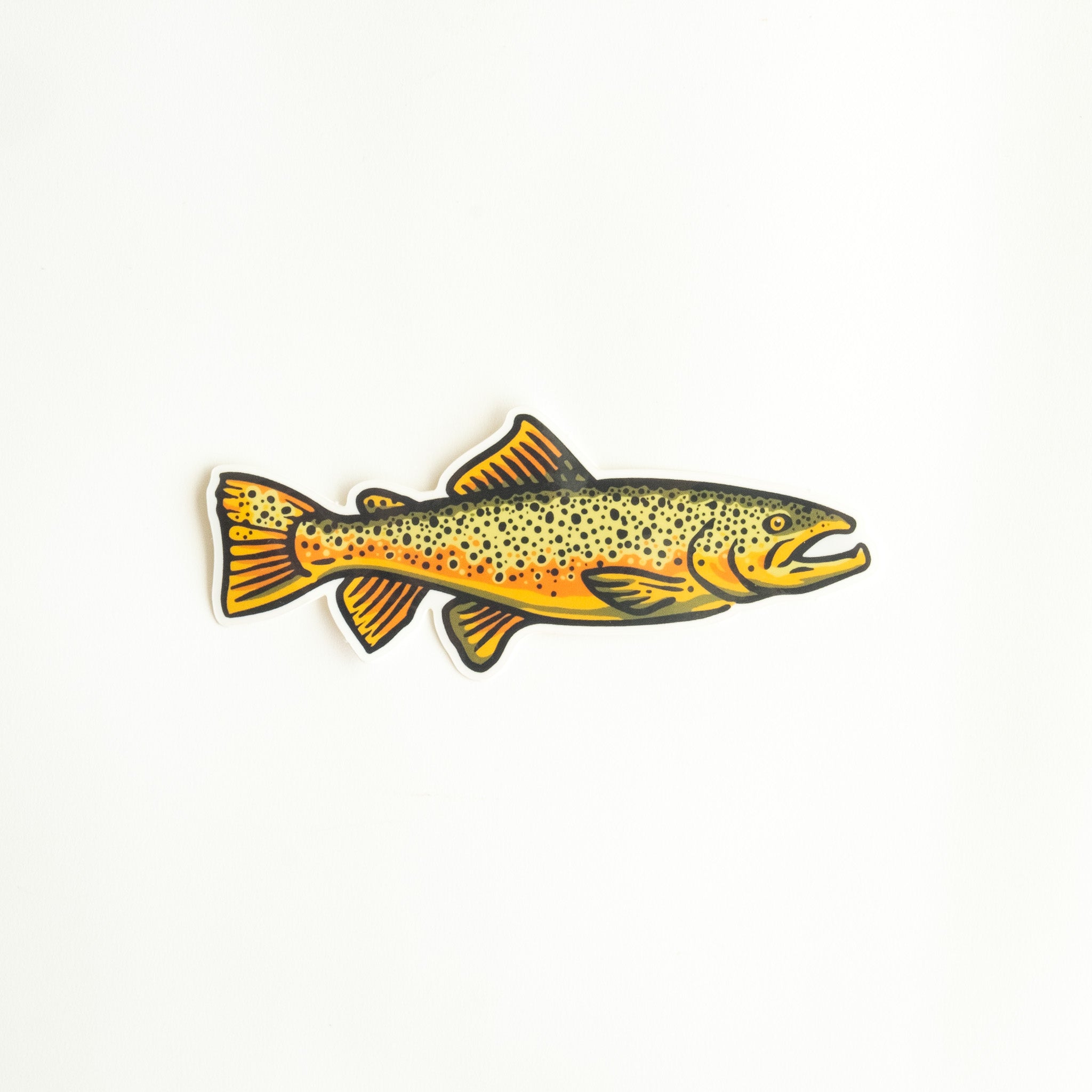Freshwater Fish Three Pack of Vinyl Stickers