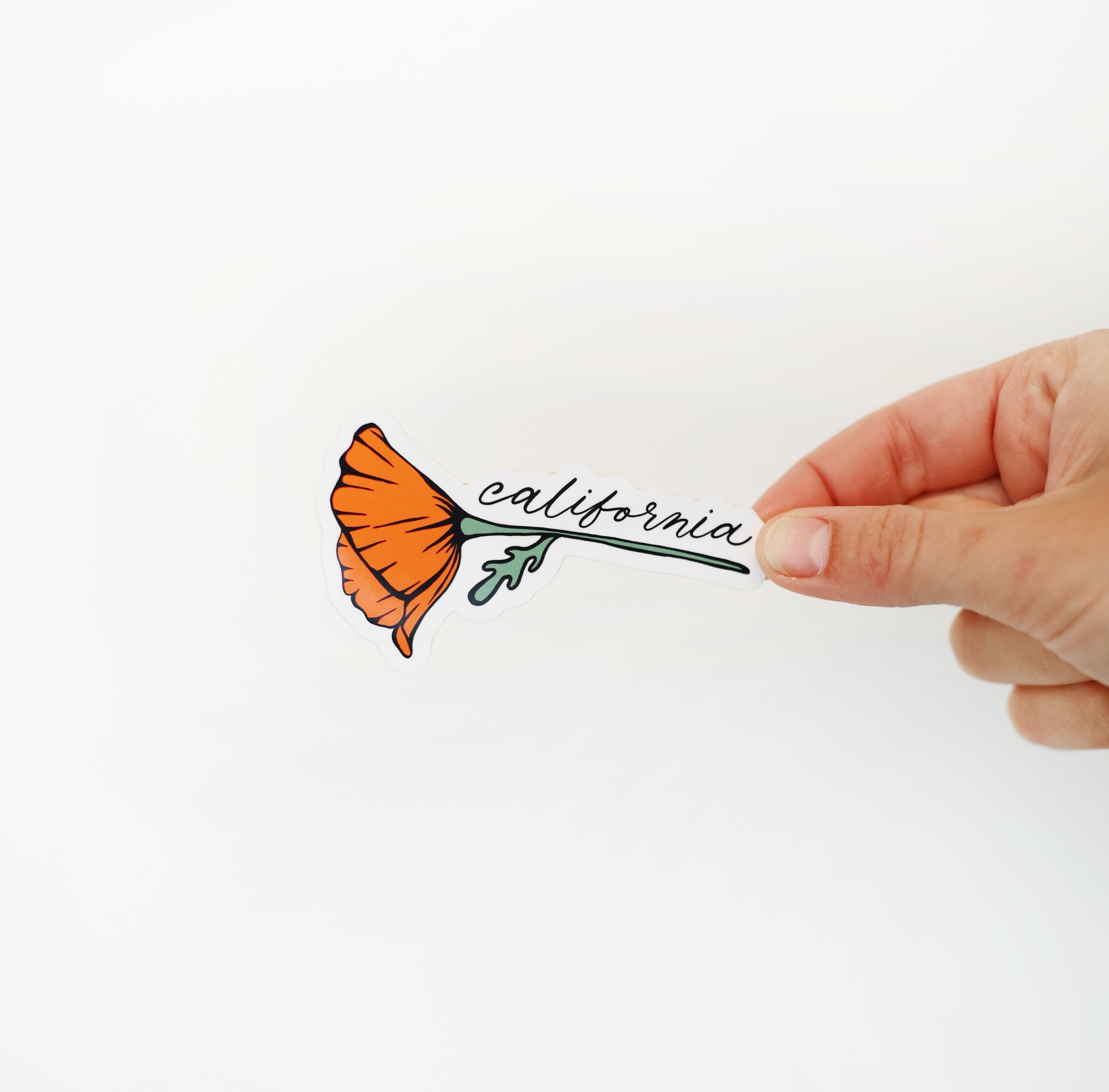 California Blooming Poppy Vinyl Sticker