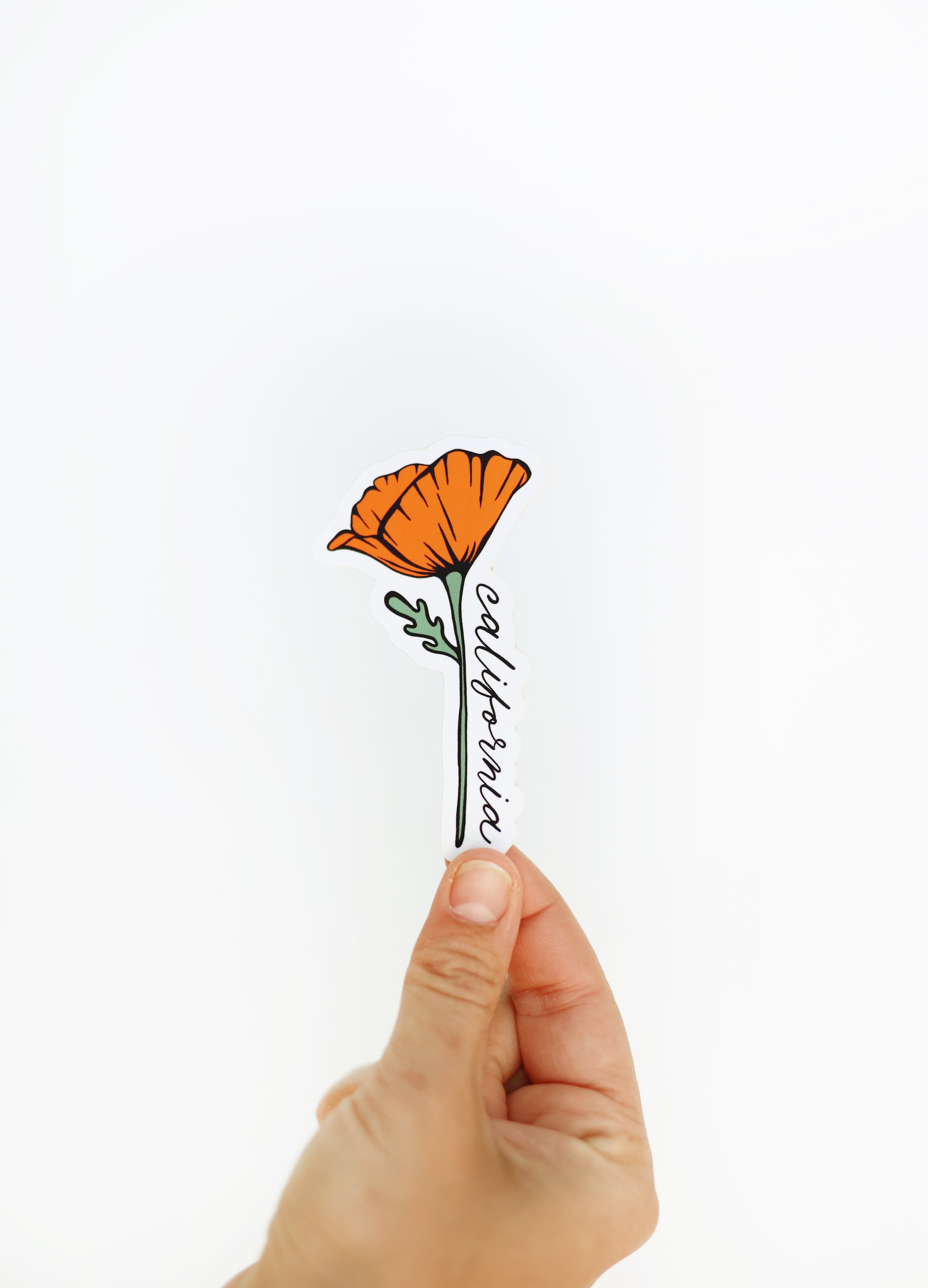 California Blooming Poppy Vinyl Sticker