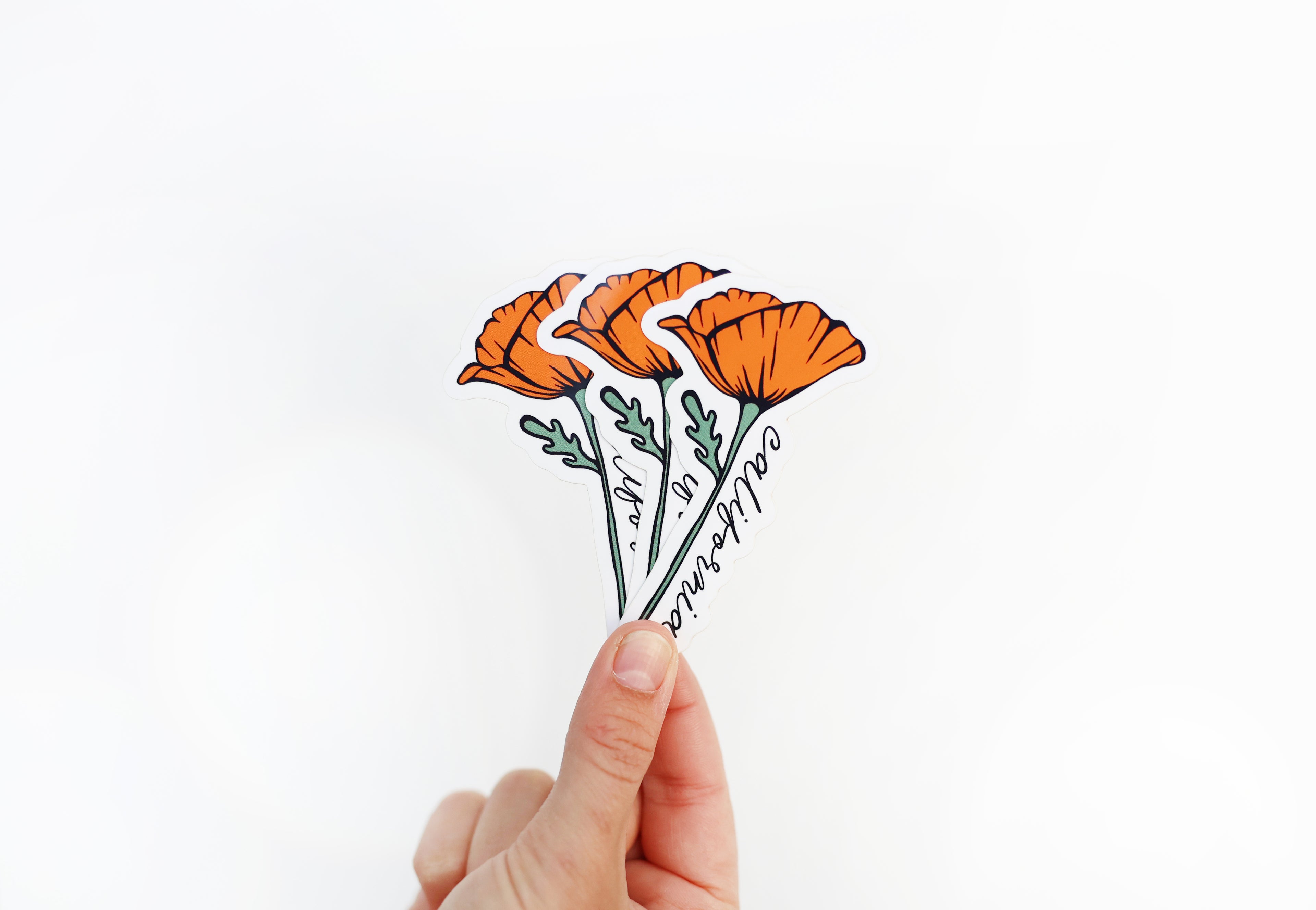 California Blooming Poppy Vinyl Sticker